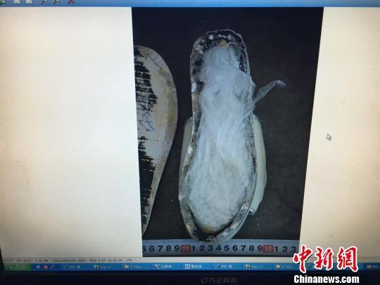 湖北一公安局长散步“踢”出汕尾一毒枭