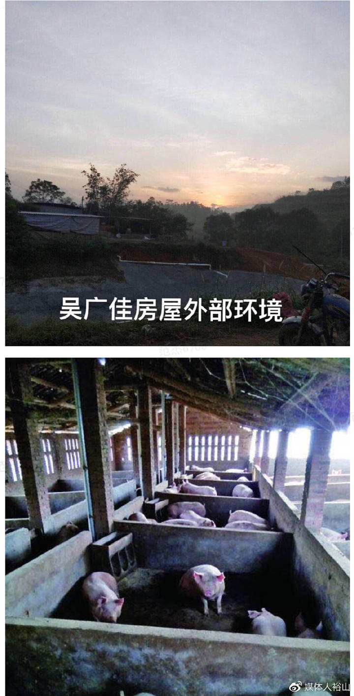 吴广佳垮塌的房屋以及其打工的养猪场。受访者提供